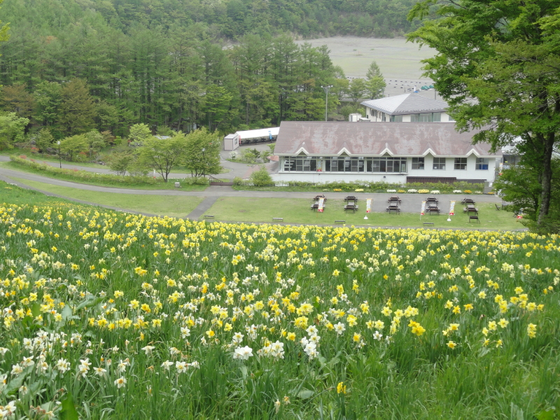 img0034.jpg