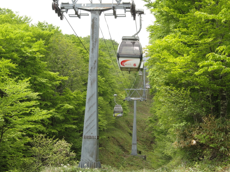img0037.jpg