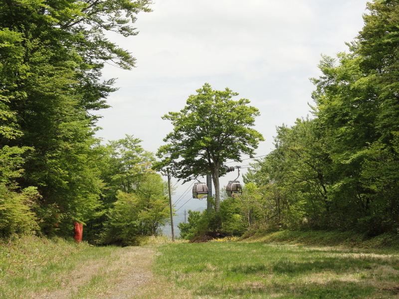 img0040.jpg