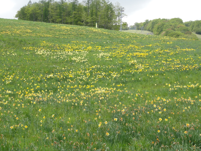img0044.jpg