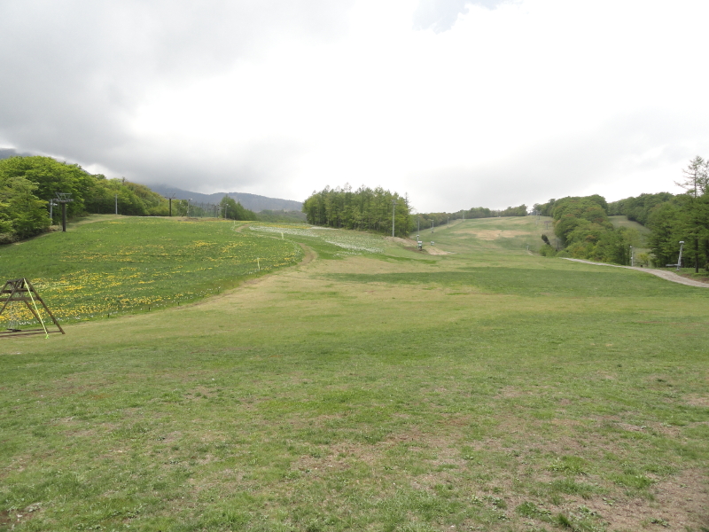img0045.jpg