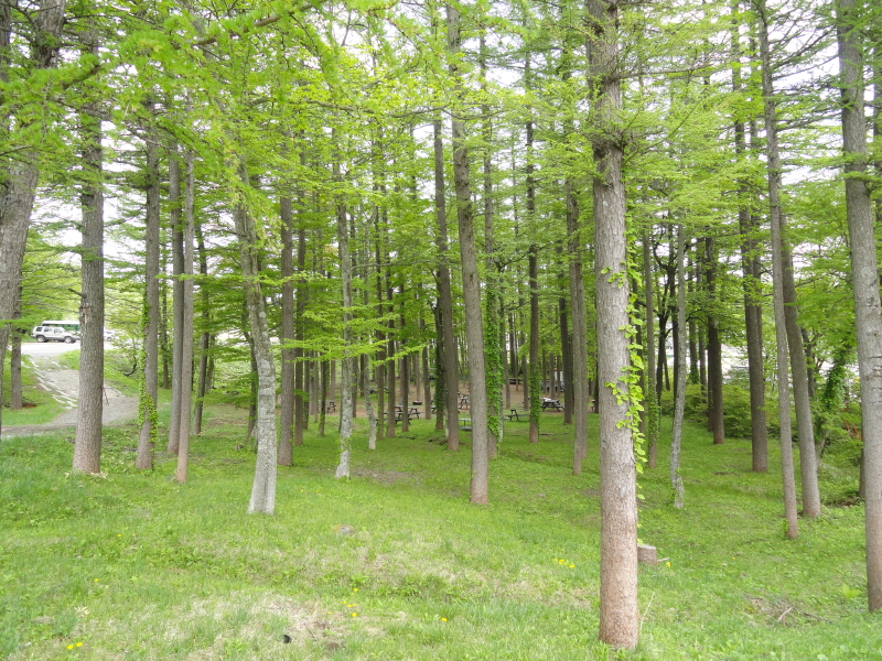 img0051.jpg