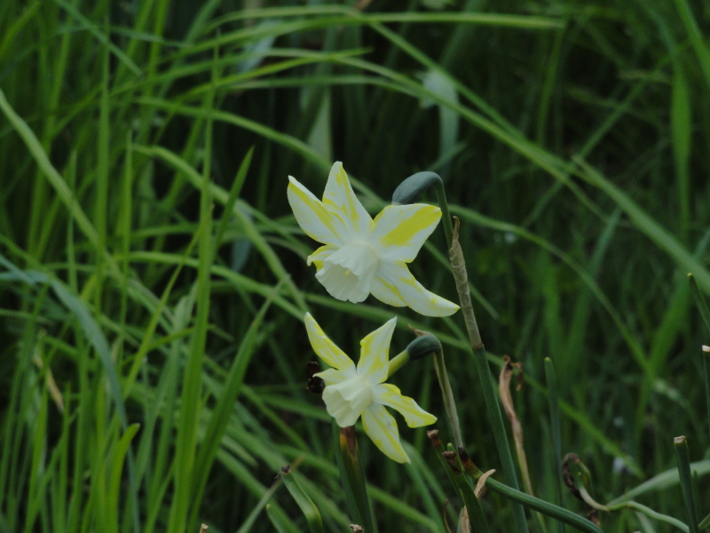 img0055.jpg
