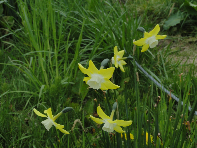 img0057.jpg