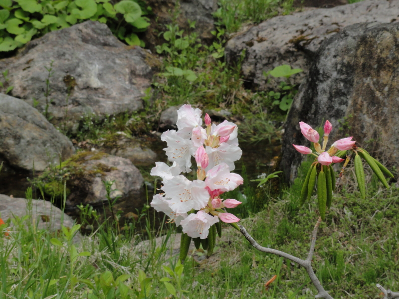 img0067.jpg