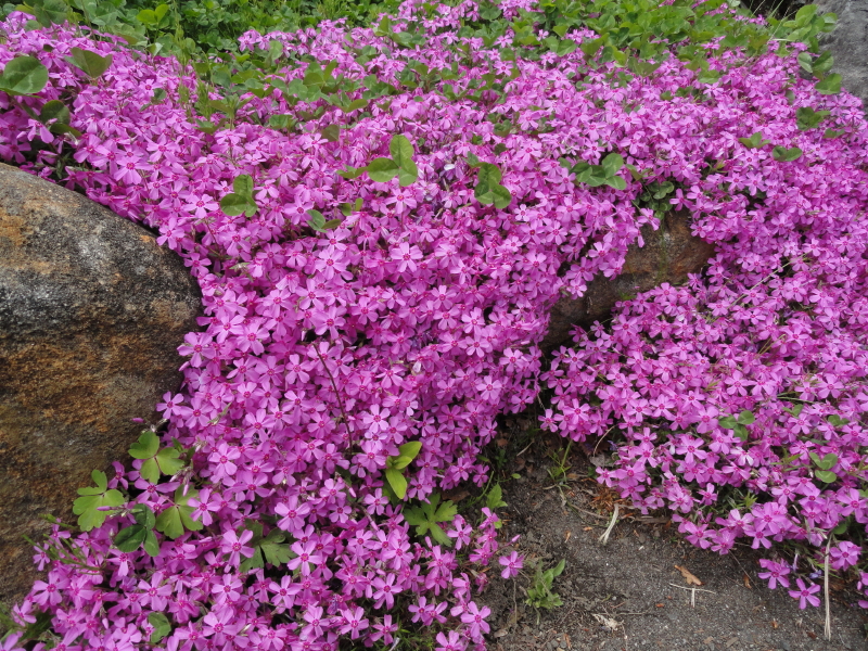 img0073.jpg