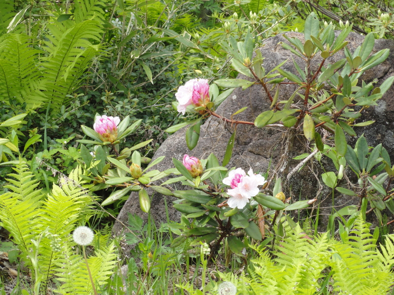 img0075.jpg