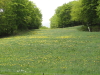 img0002.jpg