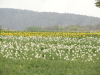 img0018.jpg