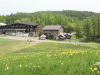 img0019.jpg