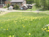img0020.jpg