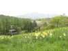 img0021.jpg