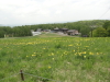 img0026.jpg