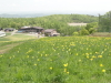 img0027.jpg