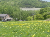 img0029.jpg