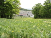 img0033.jpg
