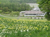 img0034.jpg