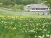 img0035.jpg