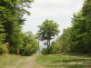 img0040.jpg