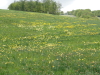 img0044.jpg