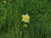 img0054.jpg
