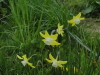 img0057.jpg
