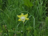 img0058.jpg