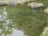 img0071.jpg