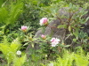 img0075.jpg