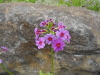 img0076.jpg