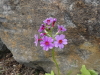 img0077.jpg