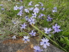 img0079.jpg