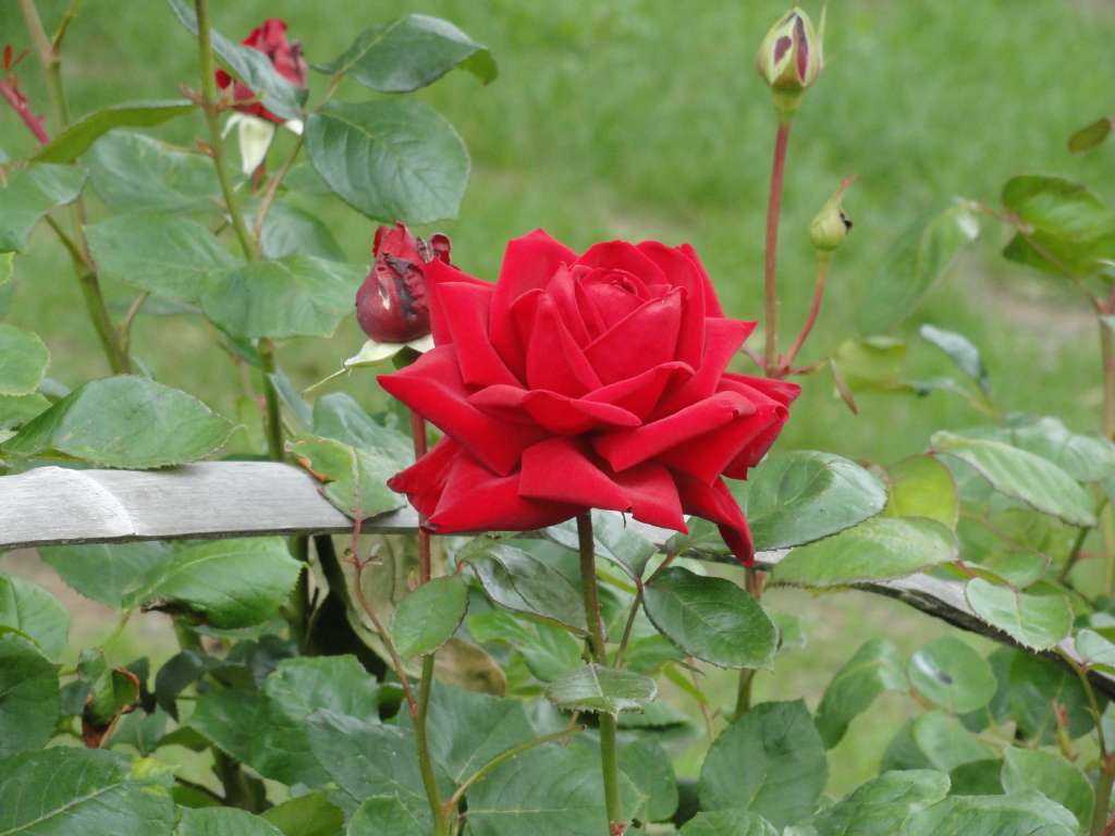 img0005.jpg