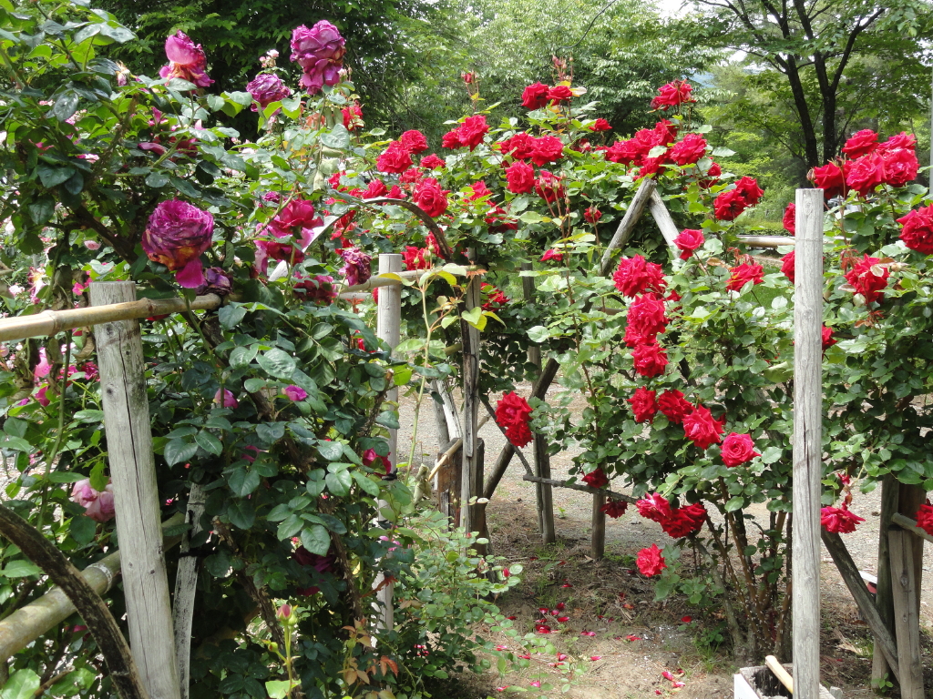 img0034.jpg