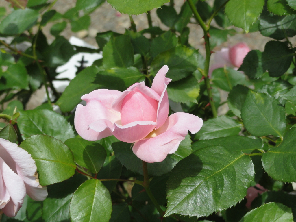 img0035.jpg