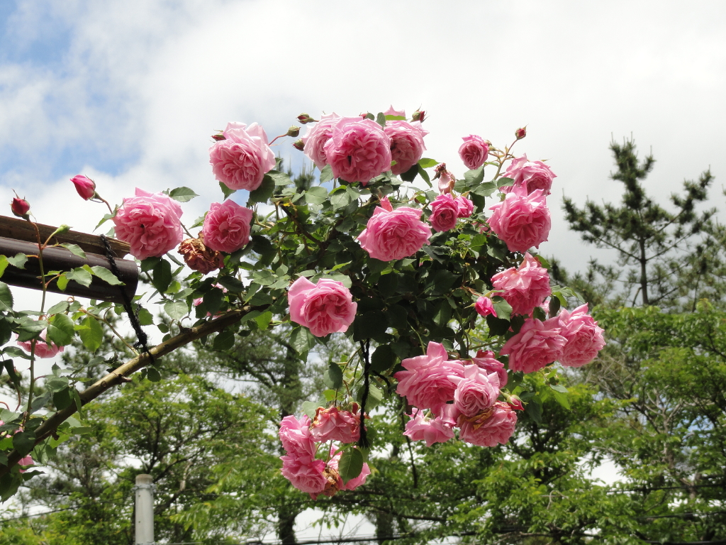 img0040.jpg