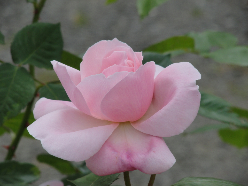 img0063.jpg