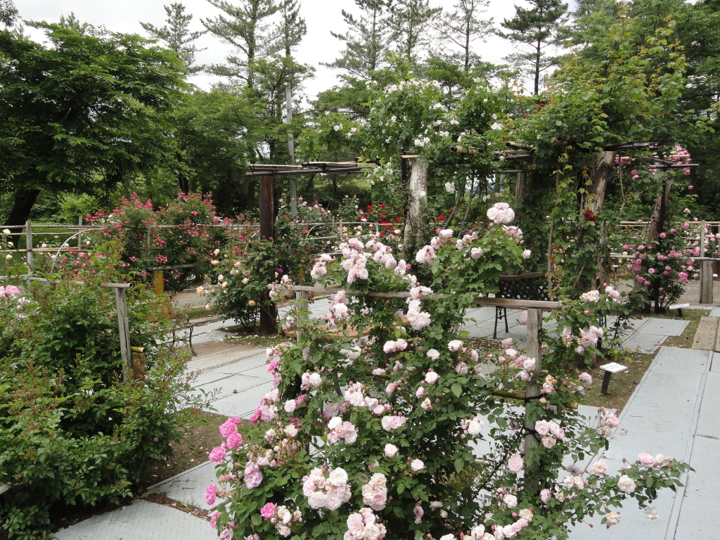 img0070.jpg