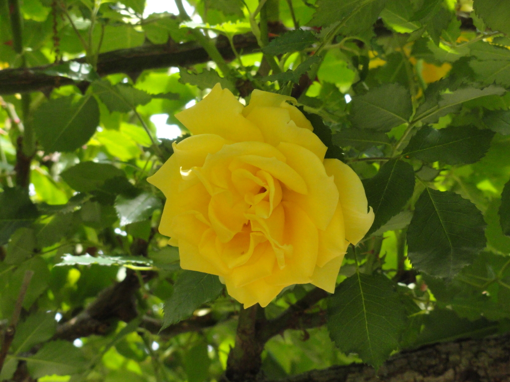 img0080.jpg