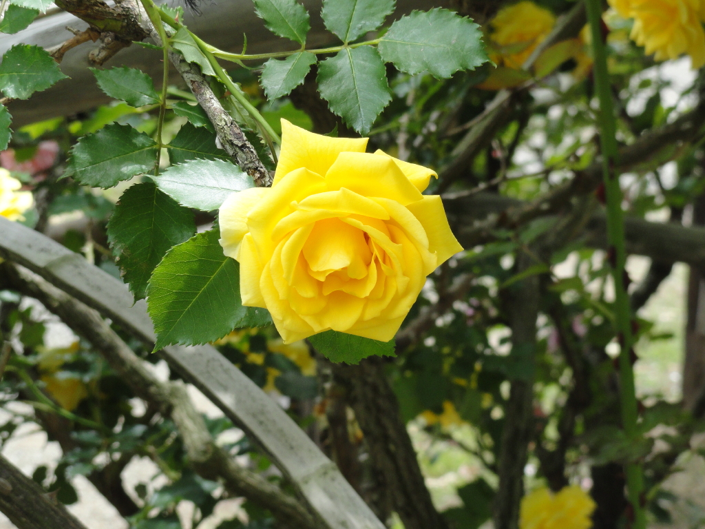 img0084.jpg