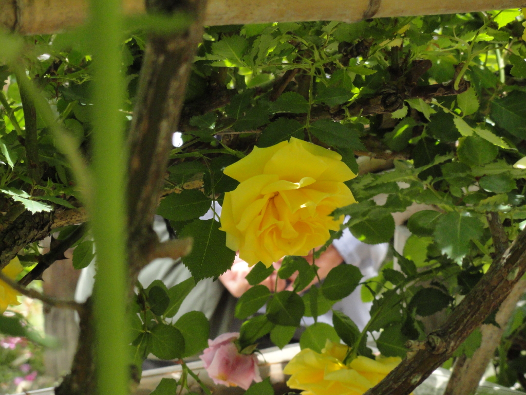 img0086.jpg