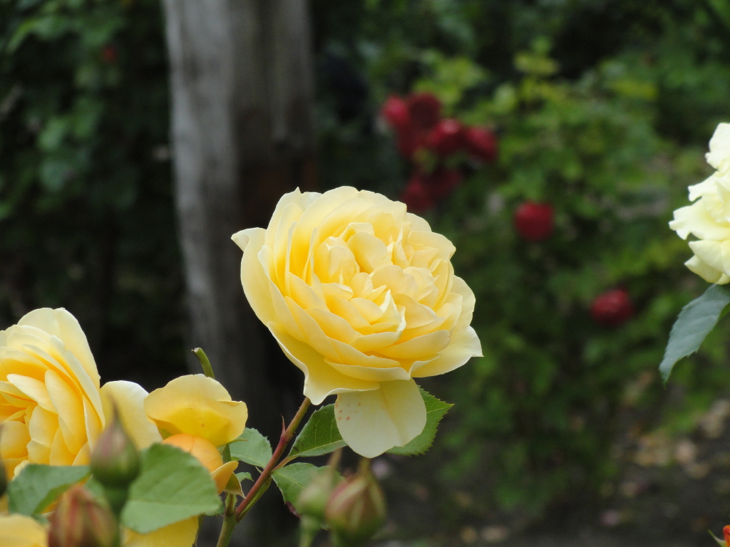 img0110.jpg