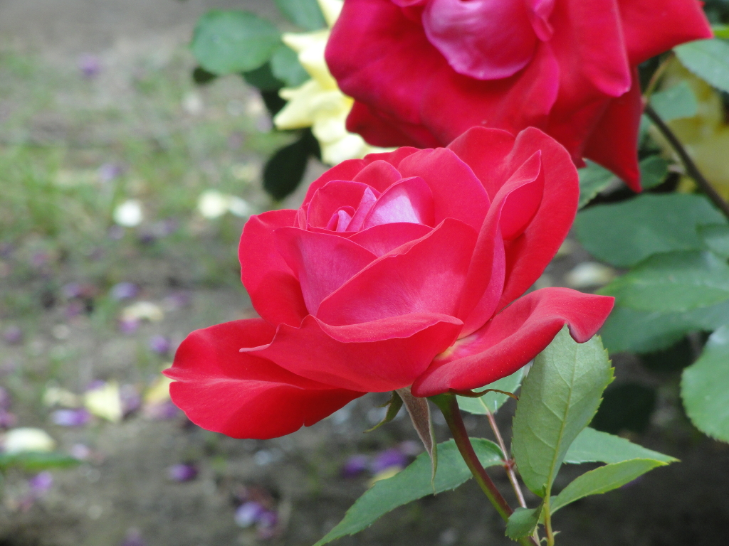 img0118.jpg