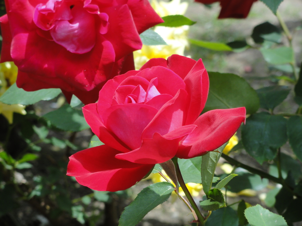 img0119.jpg