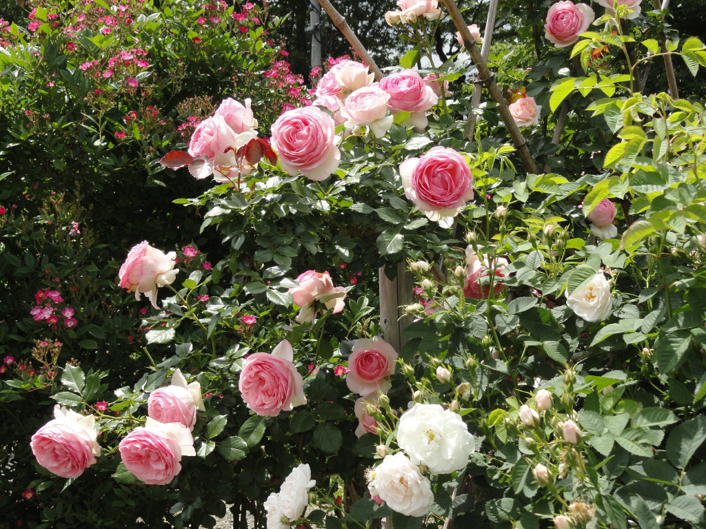 img0121.jpg