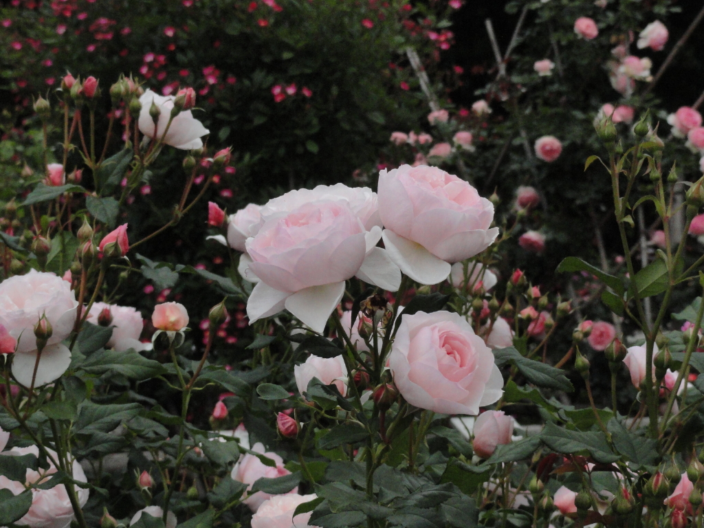 img0129.jpg