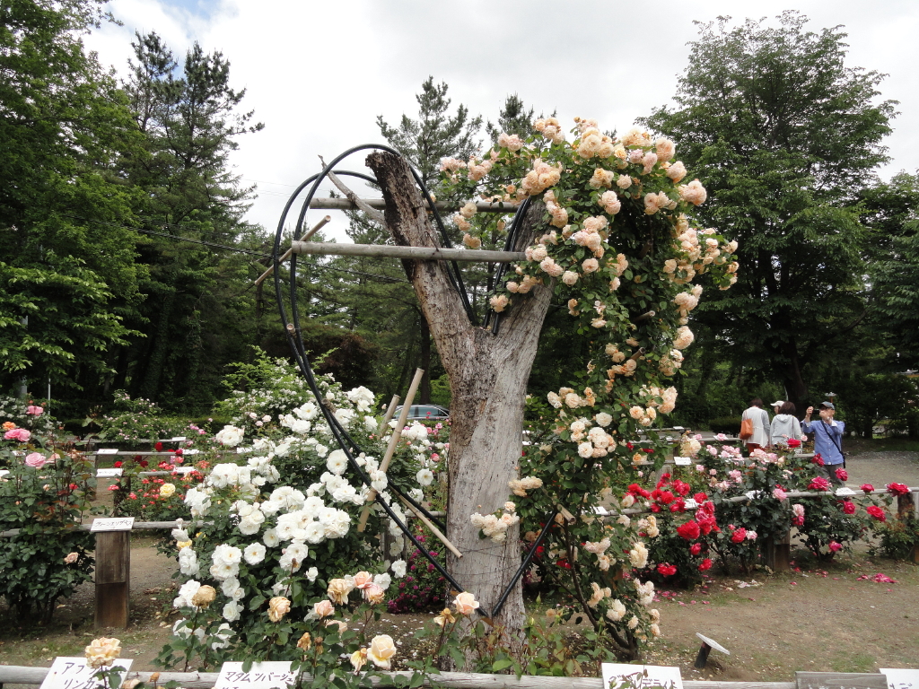 img0143.jpg