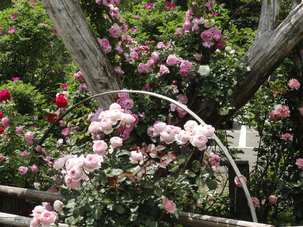 img0158.jpg
