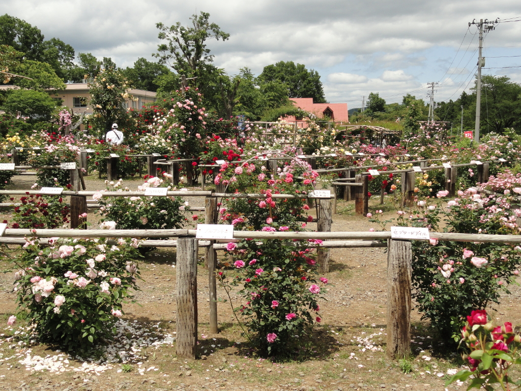 img0163.jpg