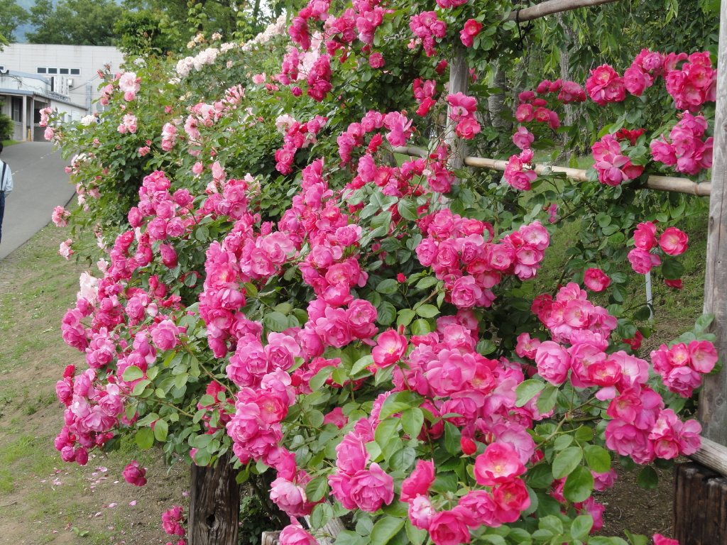img0193.jpg